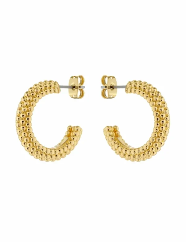 Dotetta Dotted Texture Hoop Earrings<Ted Baker Outlet