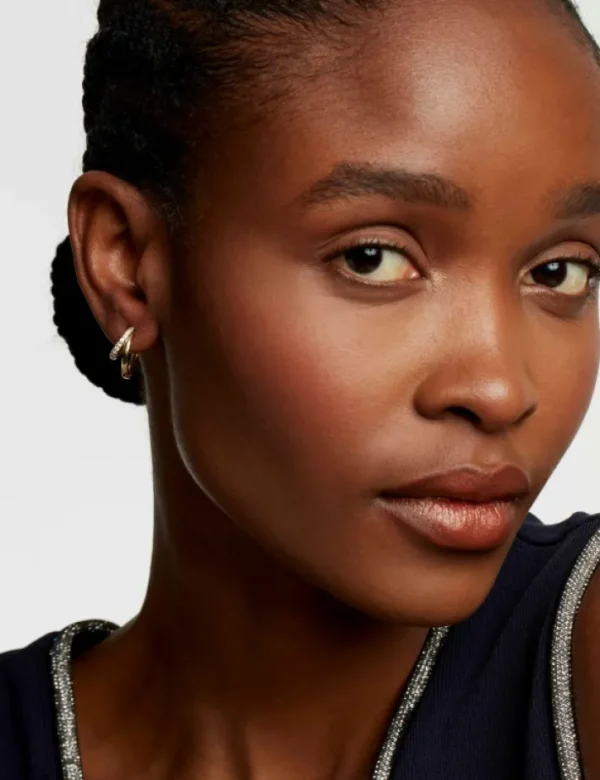 Helias Crystal Double Hoop Earrings<Ted Baker Store